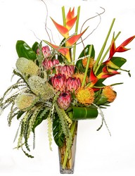 Tropical from Apples to Zinnias, the Gifted Florist in Dallas, Texas