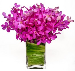 Fresh Orchids from Apples to Zinnias, the Gifted Florist in Dallas, Texas