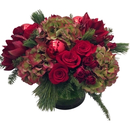 Christmas Spirit from Apples to Zinnias, the Gifted Florist in Dallas, Texas