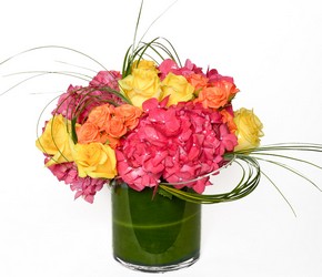 Bright and Cheery from Apples to Zinnias, the Gifted Florist in Dallas, Texas