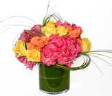 Bright and Cheery