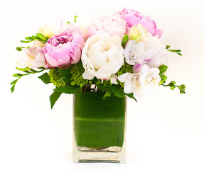 Perfect Peonies from Apples to Zinnias, the Gifted Florist in Dallas, Texas