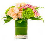 Freesia Favorite