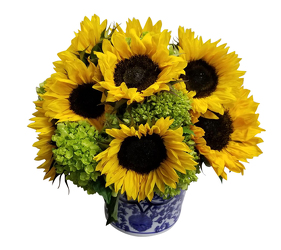 Sunny Days from Apples to Zinnias, the Gifted Florist in Dallas, Texas