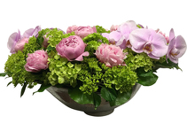 Bowl of Beauty from Apples to Zinnias, the Gifted Florist in Dallas, Texas