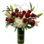 Super Special Tall Dozen Roses from Apples to Zinnias, the Gifted Florist in Dallas, Texas