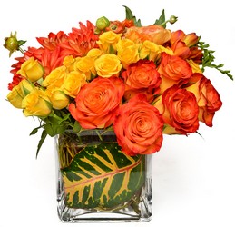 Sunset Beauty from Apples to Zinnias, the Gifted Florist in Dallas, Texas