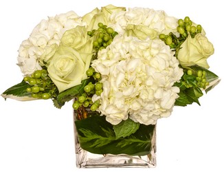 Elegant Affair from Apples to Zinnias, the Gifted Florist in Dallas, Texas