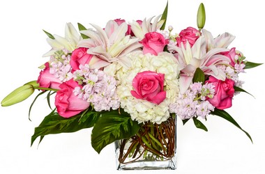 Super Special Dozen Pink Pave from Apples to Zinnias, the Gifted Florist in Dallas, Texas