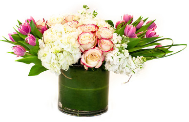 Sweetness  from Apples to Zinnias, the Gifted Florist in Dallas, Texas