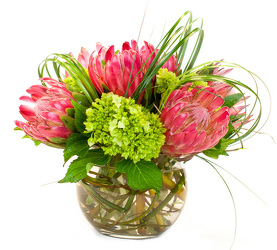 XXXPink Mink Perfection from Apples to Zinnias, the Gifted Florist in Dallas, Texas