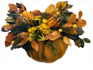 Fresh Pumpkin with Drieds Topper from Apples to Zinnias, the Gifted Florist in Dallas, Texas