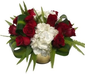 Traditional Dozen Red Roses Pave from Apples to Zinnias, the Gifted Florist in Dallas, Texas