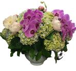 Hydrangea Heaven from Apples to Zinnias, the Gifted Florist in Dallas, Texas