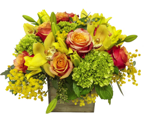 Cymbidium Fun from Apples to Zinnias, the Gifted Florist in Dallas, Texas